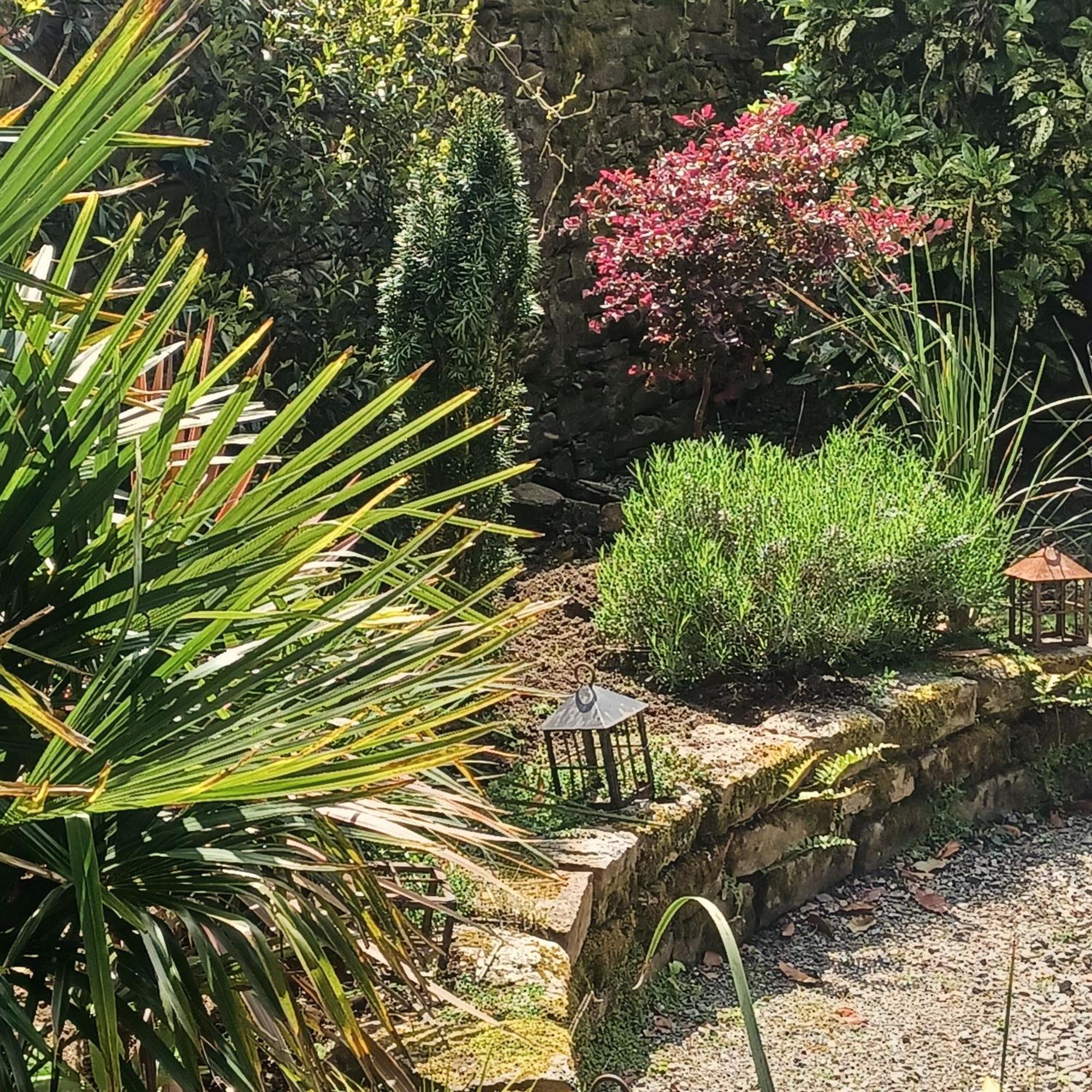 Le Banellou Bed and Breakfast Quimper Exteriör bild