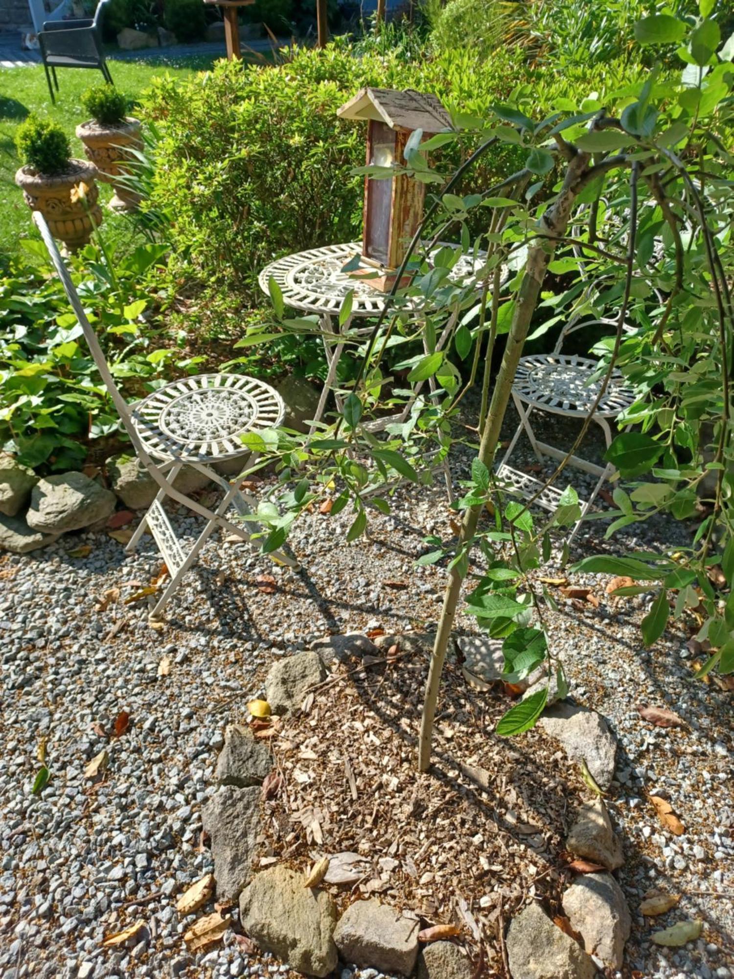 Le Banellou Bed and Breakfast Quimper Exteriör bild