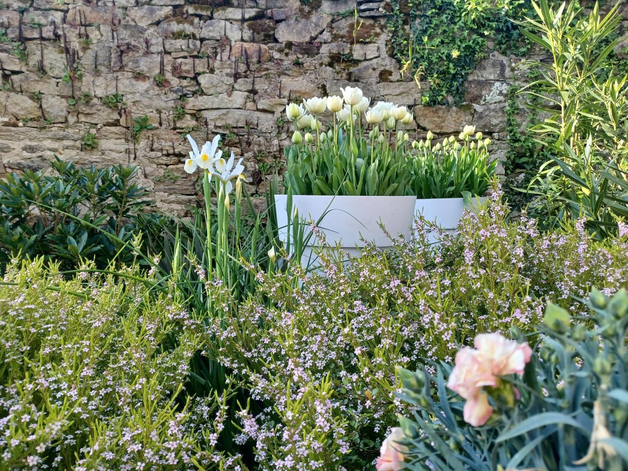 Le Banellou Bed and Breakfast Quimper Exteriör bild